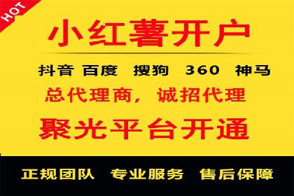 SEM托管服务，成功案例见证转化奇迹